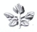 Stamping Leaves