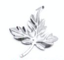 Stamping Leaves