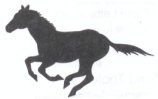 10 Guage Steel Cutouts