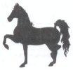 10 Guage Steel Cutouts