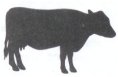 10 Guage Steel Cutouts