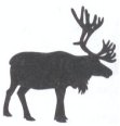 10 Guage Steel Cutouts